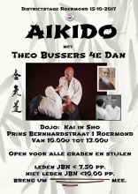 Aikido stage Theo Bussers